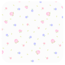 玫瑰花-壁纸主题桌面美化app_玫瑰花-壁纸主题桌面美化appios版下载  2.0