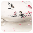 梅花朵朵-壁纸主题桌面美化app