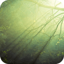 绿光森林-宝软3D主题app