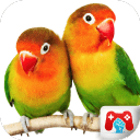 教育游戏真正的鸟app_教育游戏真正的鸟app安卓版下载_教育游戏真正的鸟app官方正版  2.0