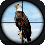 鸟类猎人狙击手手机app下载_鸟类猎人狙击手手机app官方版APP版v1.0  v1.0