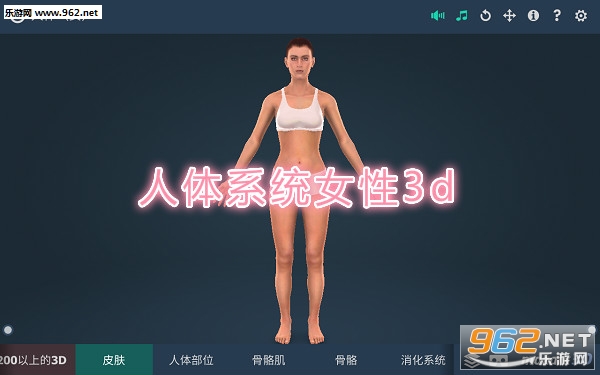 人体系统女性3d专业中文版