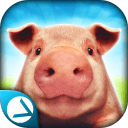 疯猪模拟器app
