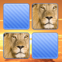 野生动物图片记忆游戏app