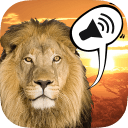 儿童野生动物声音游戏app