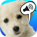 儿童宠物声音游戏app