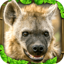 鬣狗模拟器app_鬣狗模拟器app下载_鬣狗模拟器app积分版  2.0