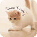 宠物连萌-宝软3D主题app