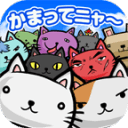 猫咪田种植【扑家汉化】app