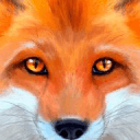 终极野狐模拟器app_终极野狐模拟器app安卓手机版免费下载_终极野狐模拟器app安卓版下载  2.0