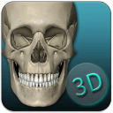 骨骼解剖图集app