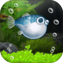 我的河豚鱼水族馆app_我的河豚鱼水族馆app安卓版下载V1.0_我的河豚鱼水族馆appapp下载  2.0
