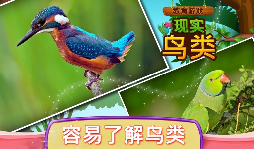 教育游戏真正的鸟app_教育游戏真正的鸟app安卓版下载_教育游戏真正的鸟app官方正版