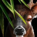 鹿的一生app_鹿的一生app最新官方版 V1.0.8.2下载 _鹿的一生app官网下载手机版