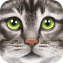 终极猫咪模拟app_终极猫咪模拟app手机游戏下载_终极猫咪模拟appapp下载