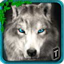 狼的终极冒险3Dapp_狼的终极冒险3Dapp安卓手机版免费下载_狼的终极冒险3Dapp攻略  2.0
