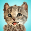 Little Kitten - 我最喜爱的猫猫app