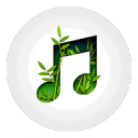 我的放松音乐app_我的放松音乐app攻略_我的放松音乐app手机版  2.0