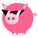钱猪猪app