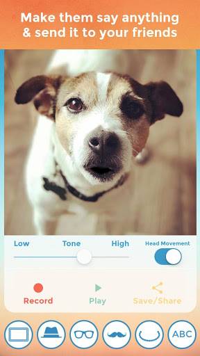 My Talking Pet 我的会说话的宠物app_My Talking Pet 我的会说话的宠物app最新版下载