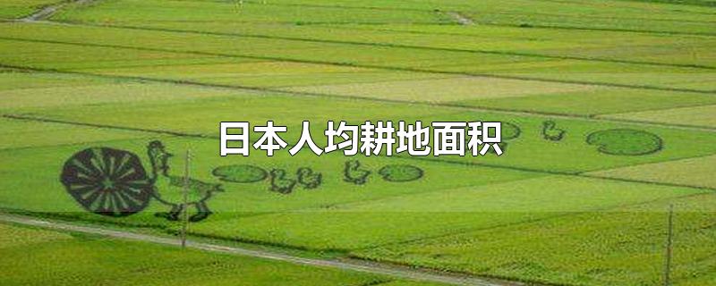 日本人均耕地面积是多少亩