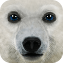 终极北极模拟器app