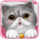心动小猫app_心动小猫app安卓版下载V1.0_心动小猫app最新版下载  2.0
