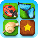 棋盘昆虫app