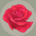 玫瑰花园app