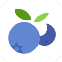 蓝莓记账下载_蓝莓记账下载攻略_蓝莓记账下载安卓版下载  2.0