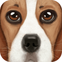 模拟狗生app