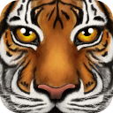丛林动物模拟器app_丛林动物模拟器appios版下载_丛林动物模拟器app中文版下载