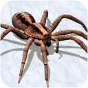 蜘蛛模拟器app_蜘蛛模拟器app中文版_蜘蛛模拟器app中文版  2.0
