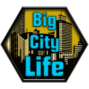 大城市生活：模拟器app_大城市生活：模拟器app中文版_大城市生活：模拟器app最新版下载  2.0