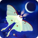 蝴蝶之星夜app