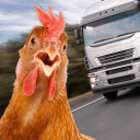 鸡鸡过马路app