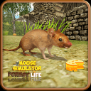 老鼠模拟器app_老鼠模拟器安卓版app_老鼠模拟器 1.0.4手机版免费app  2.0