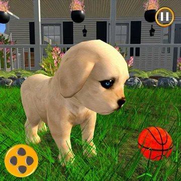 体验宠物小狗的一天游戏下载_体验宠物小狗的一天安卓版下载v0.2