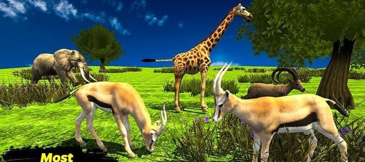 野生动物猎人非洲狮狩猎游戏-野生动物猎人非洲狮狩猎安卓版下载 v5.1