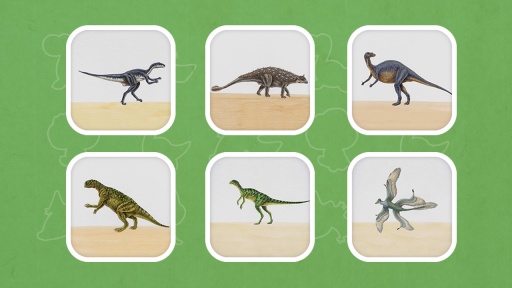 恐龙多多app_恐龙多多app下载_恐龙多多app手机版