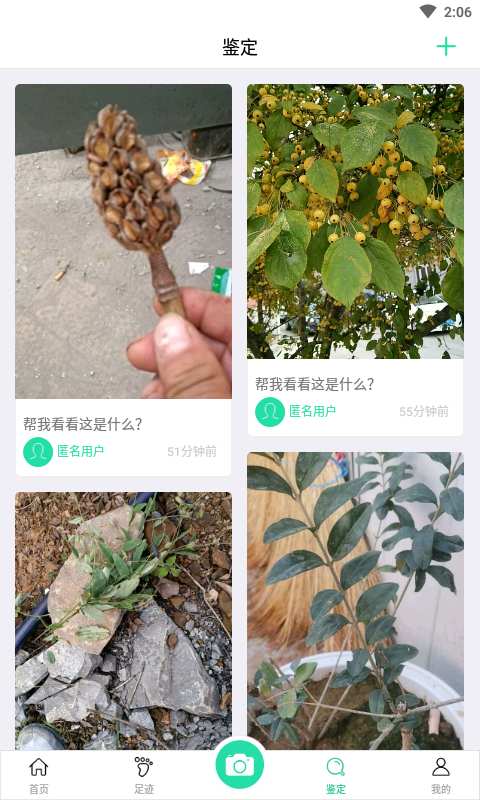 趣植物下载_趣植物下载app下载_趣植物下载app下载