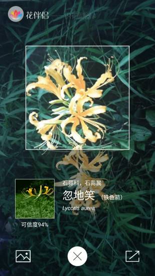 花伴侣app_花伴侣appapp下载_花伴侣appios版下载