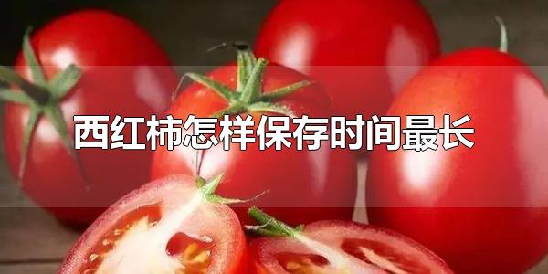 西红柿怎么存放保鲜的时间比较长