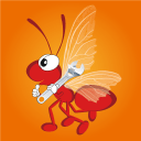 带翅膀的红蚂蚁