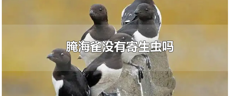 腌海雀好吃吗