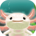 蝾螈育成:Axolotl