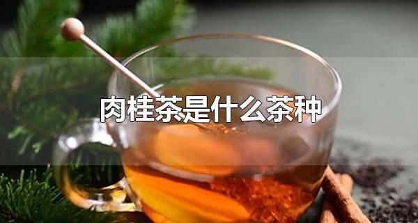 肉桂茶属于什么茶的功效