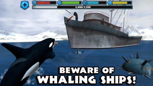 虎鲸模拟器app_虎鲸模拟器app安卓手机版免费下载_虎鲸模拟器app安卓版下载V1.0