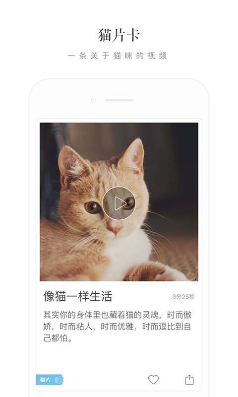 一日猫app_一日猫appios版下载_一日猫app中文版
