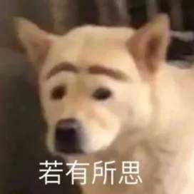 无语子是什么梗